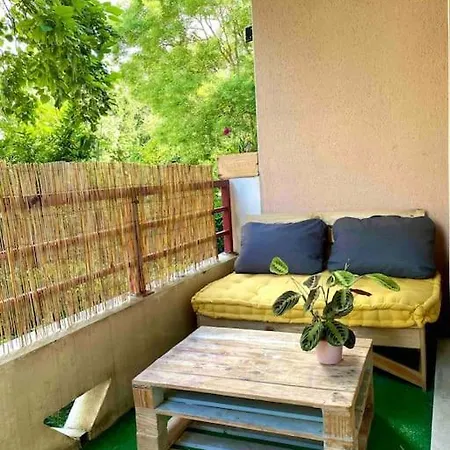 Mon Cocoon Toulousain Cosy Idealement Situe Apartment Toulouse